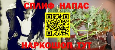 дживик Гусев