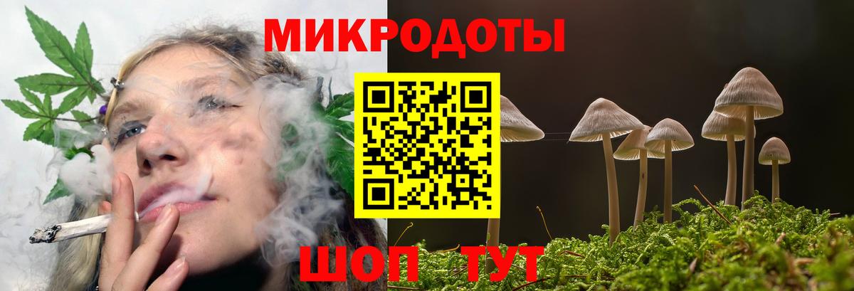 Псилоцибиновые грибы Magic Shrooms  Вход с VPN  Нерюнгри 