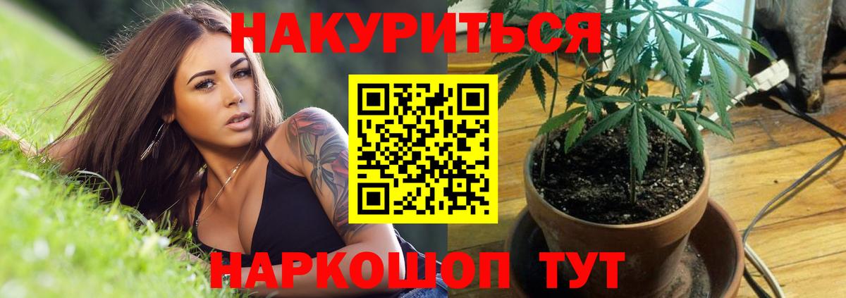 Шишки марихуана LSD WEED  Вход с VPN  Бошки Шишки семена  Нерюнгри  Канабис Ganja 
